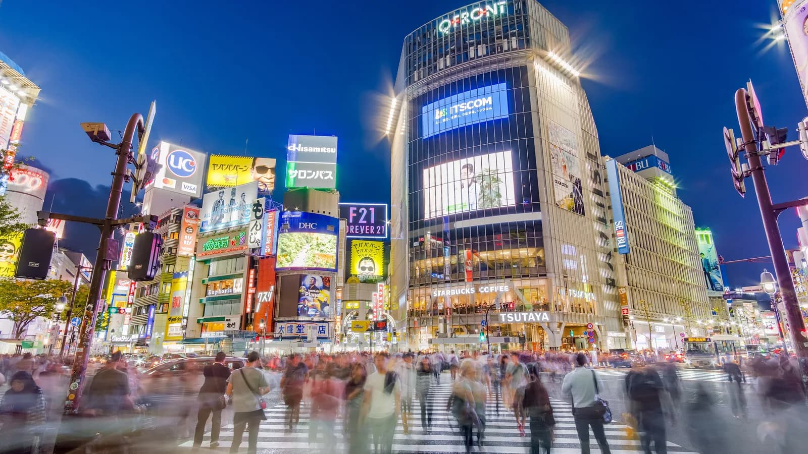 Shibuya & Harajuku