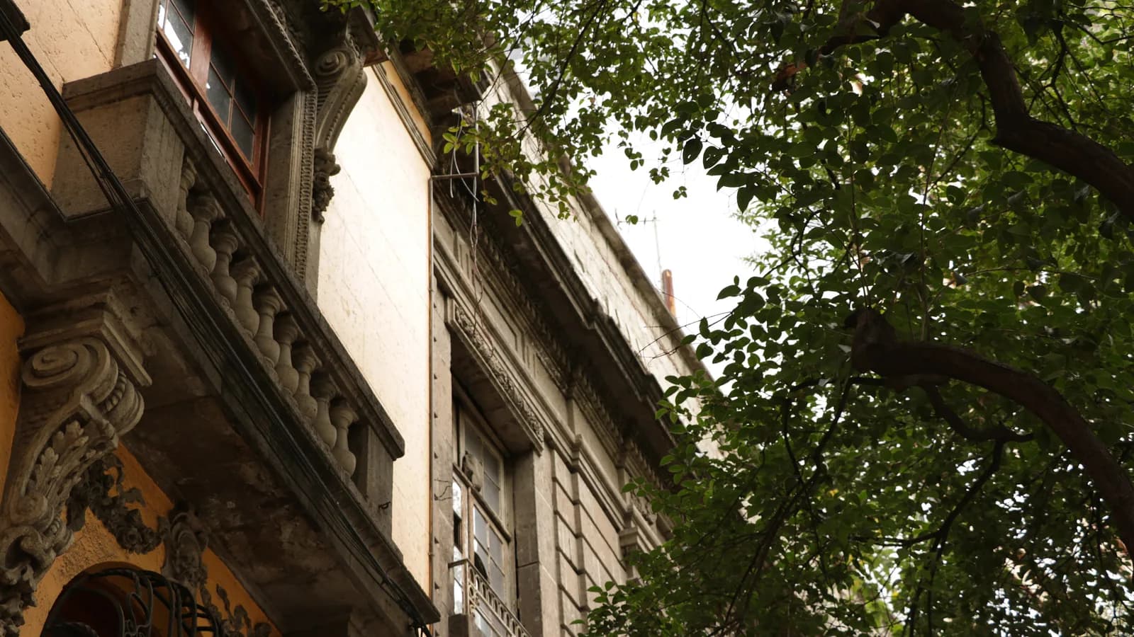 Roma & Condesa
